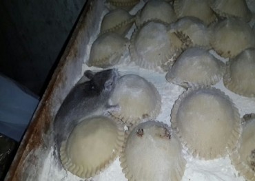 INAN confirma presencia de gérmenes en empanadas de local gastronómico
