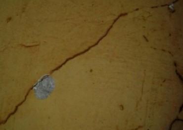 Denuncian altercado contra PTV